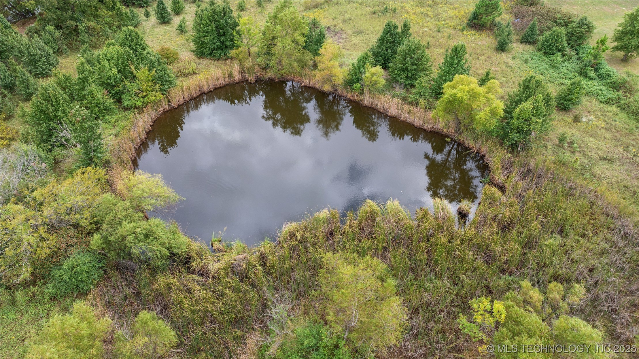 8450 Fern Mountain Road Property Photo 25