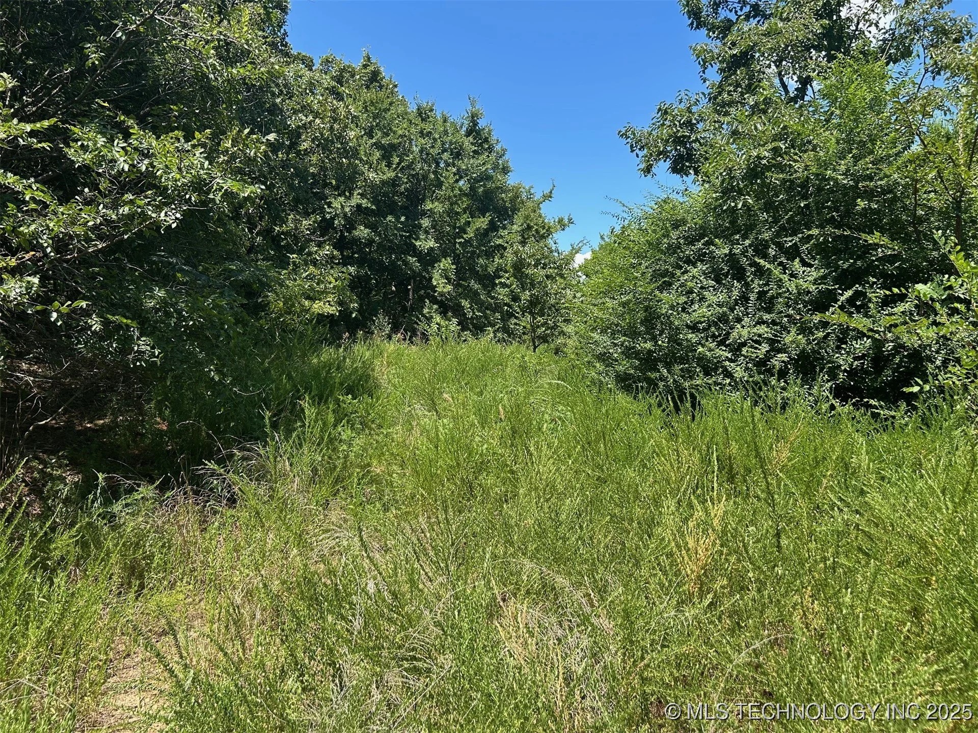 0000 Cottonwood Road Property Photo 5