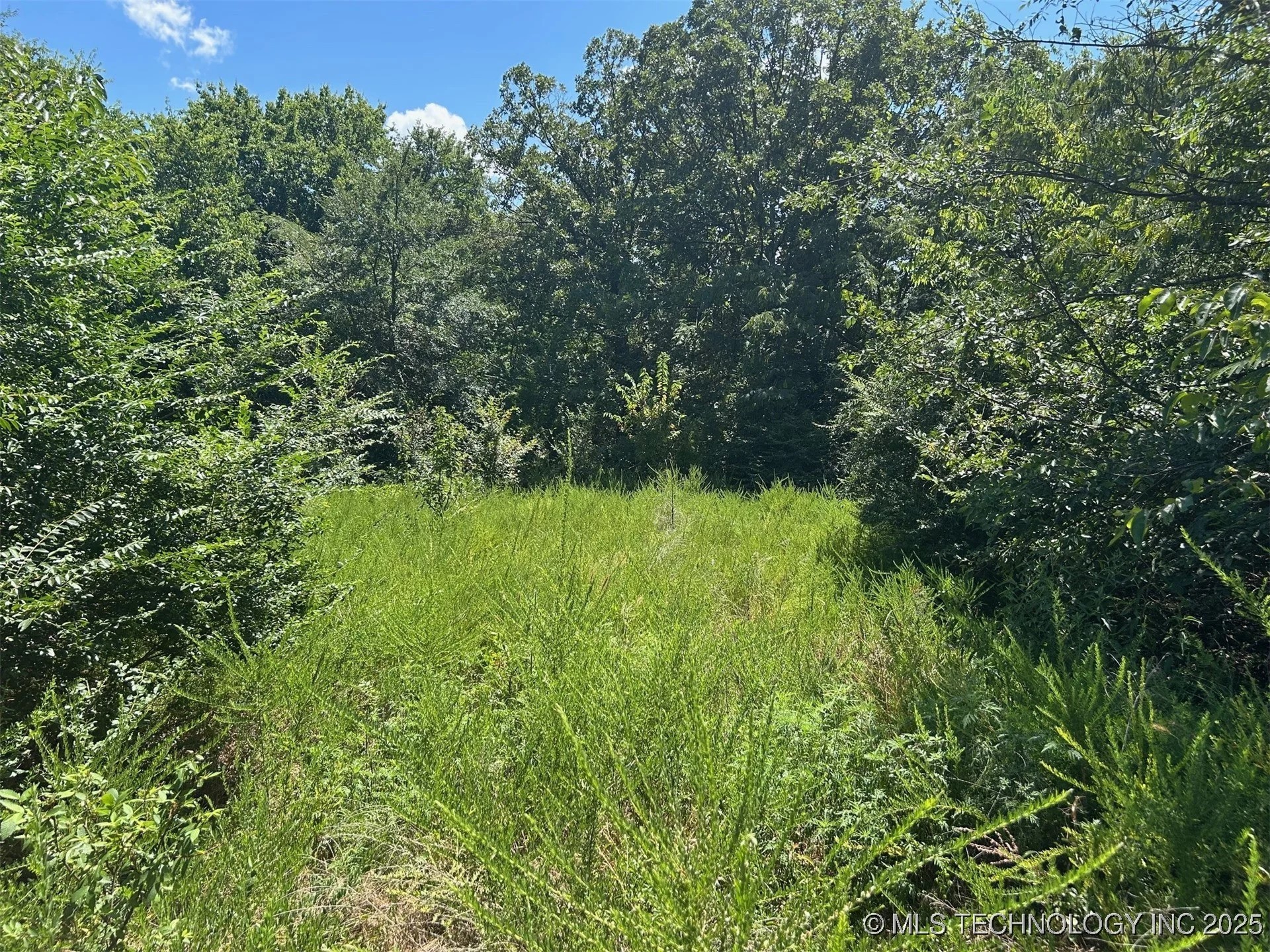 0000 Cottonwood Road Property Photo 6