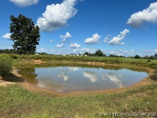 0093 S Acres S (93 Acres) S Welling Road Road Property Photo 3