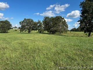 0093 S Acres S (93 Acres) S Welling Road Road Property Photo 6