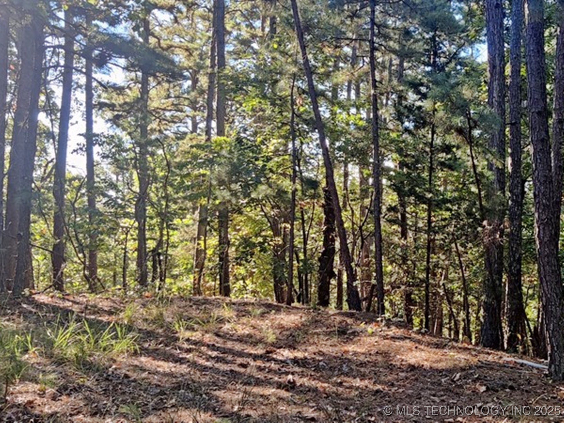 1324 Pinto Circle Property Photo 3