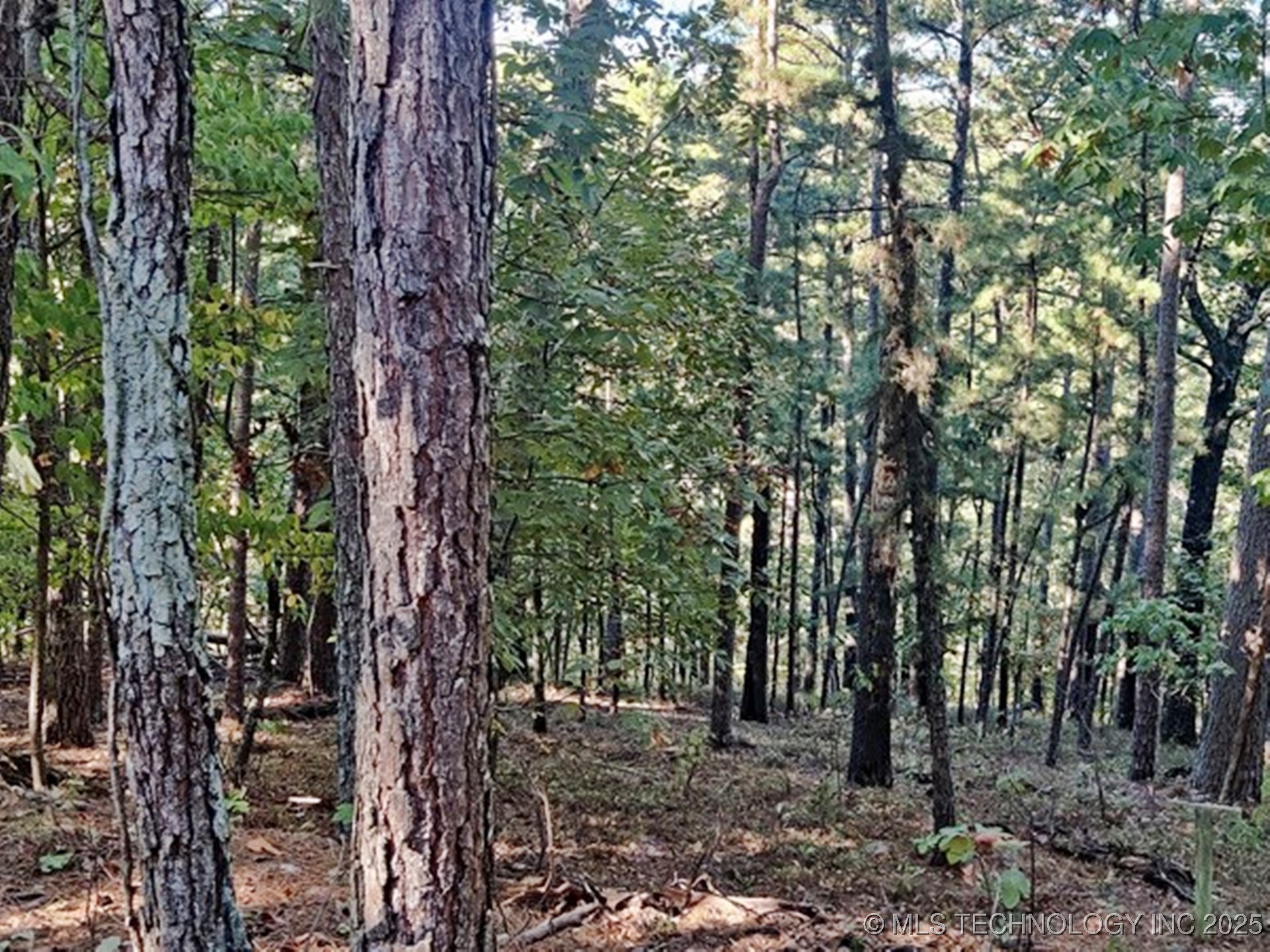 1324 Pinto Circle Property Photo 4