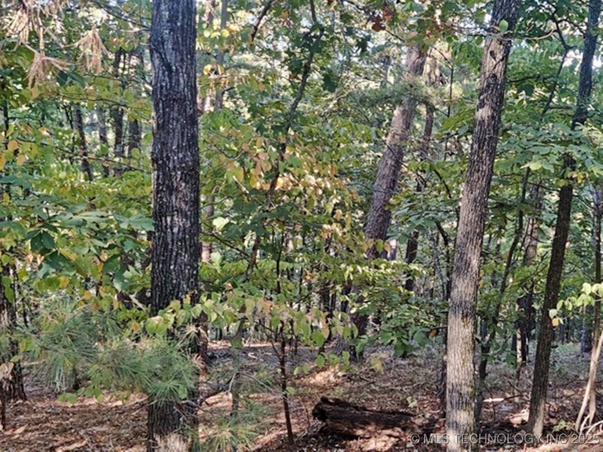 1324 Pinto Circle Property Photo 6