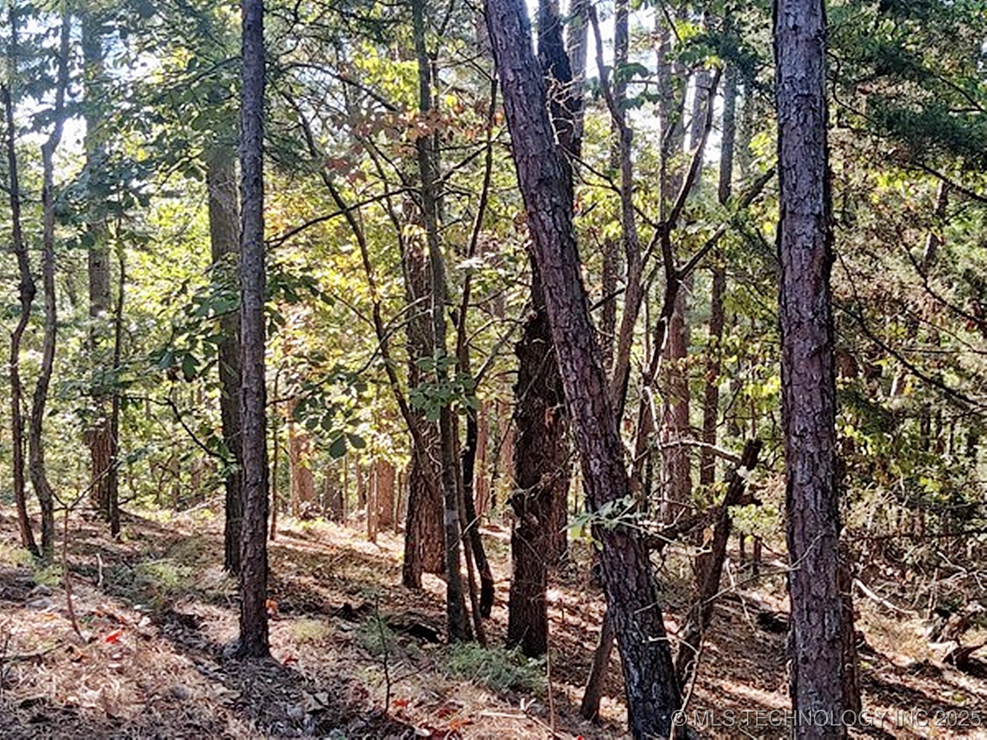 1324 Pinto Circle Property Photo 7