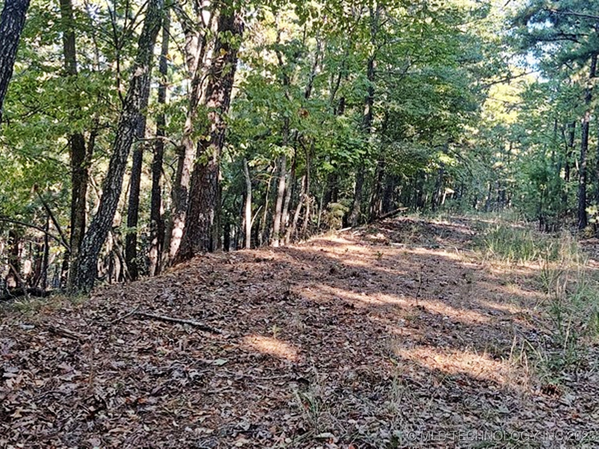 1324 Pinto Circle Property Photo 9