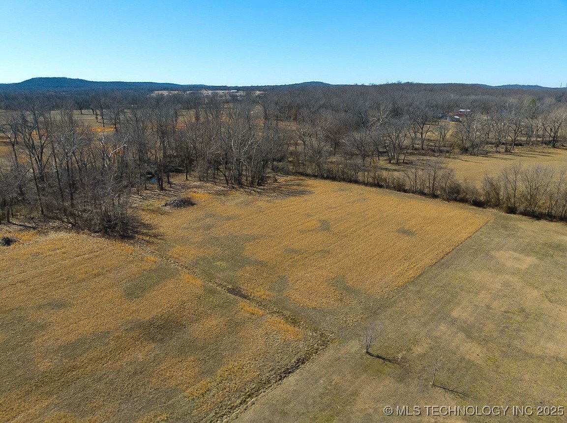 Orange Street Property Photo 16