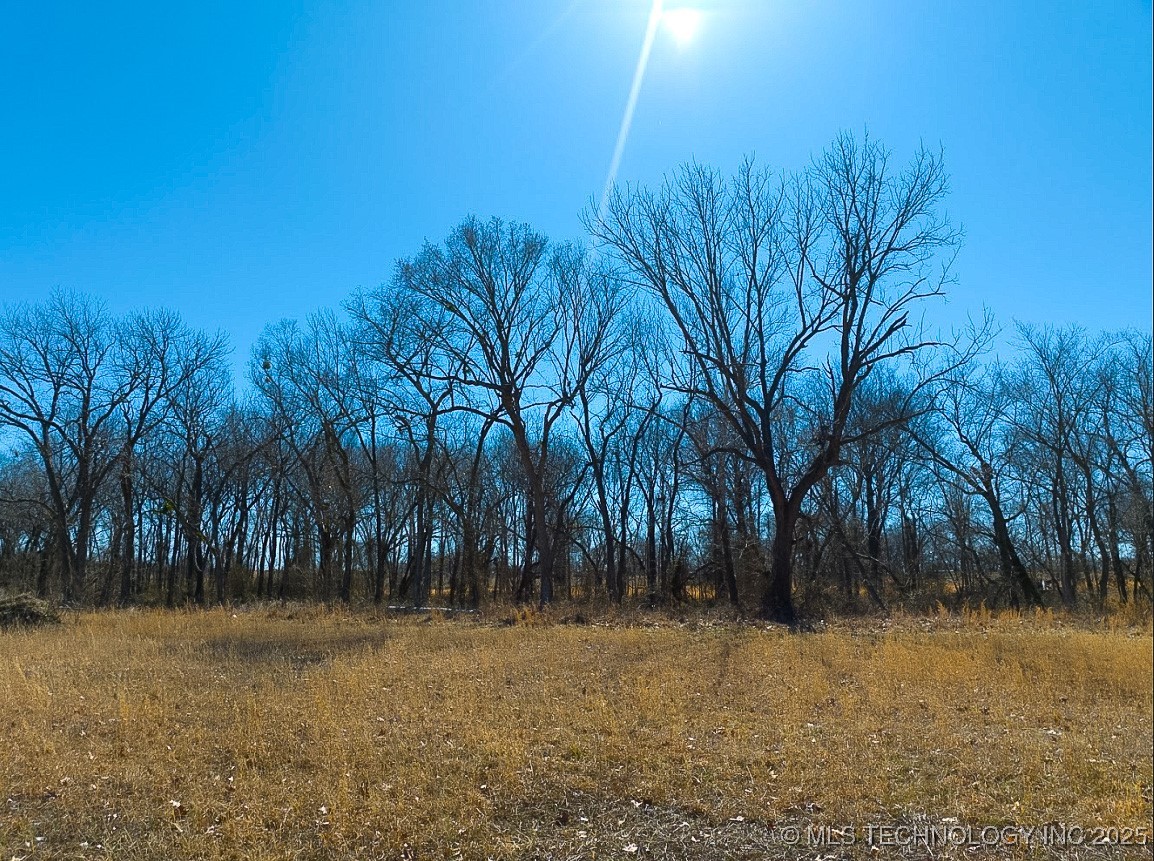 Orange Street Property Photo 20