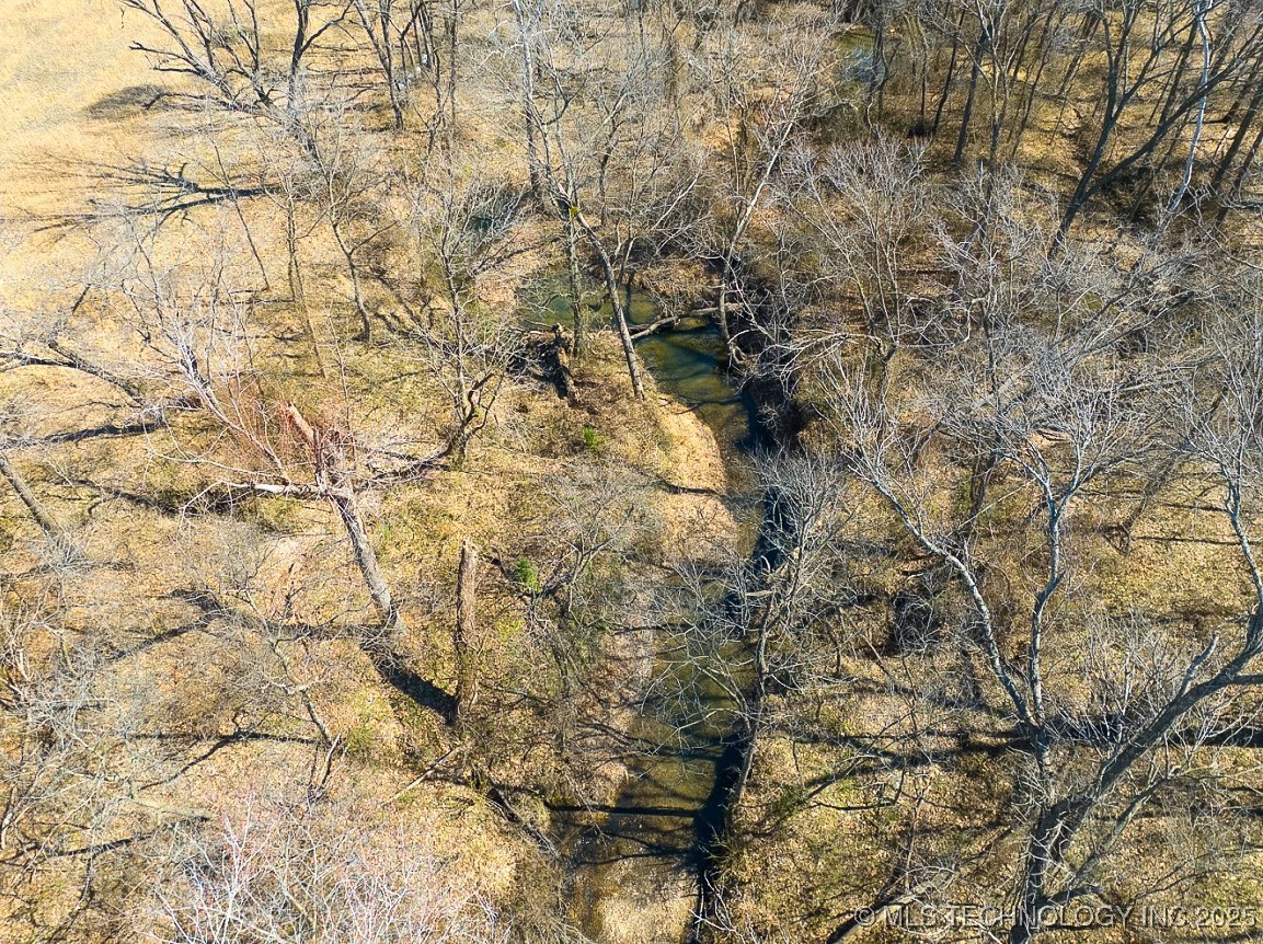 Orange Street Property Photo 22