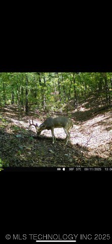 12112 W 690 Road Property Photo 38
