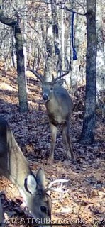 12112 W 690 Road Property Photo 41