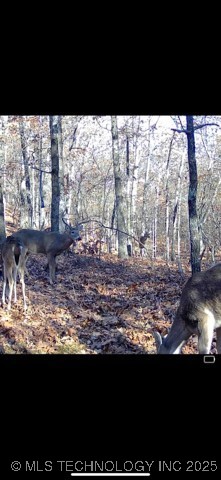 12112 W 690 Road Property Photo 42