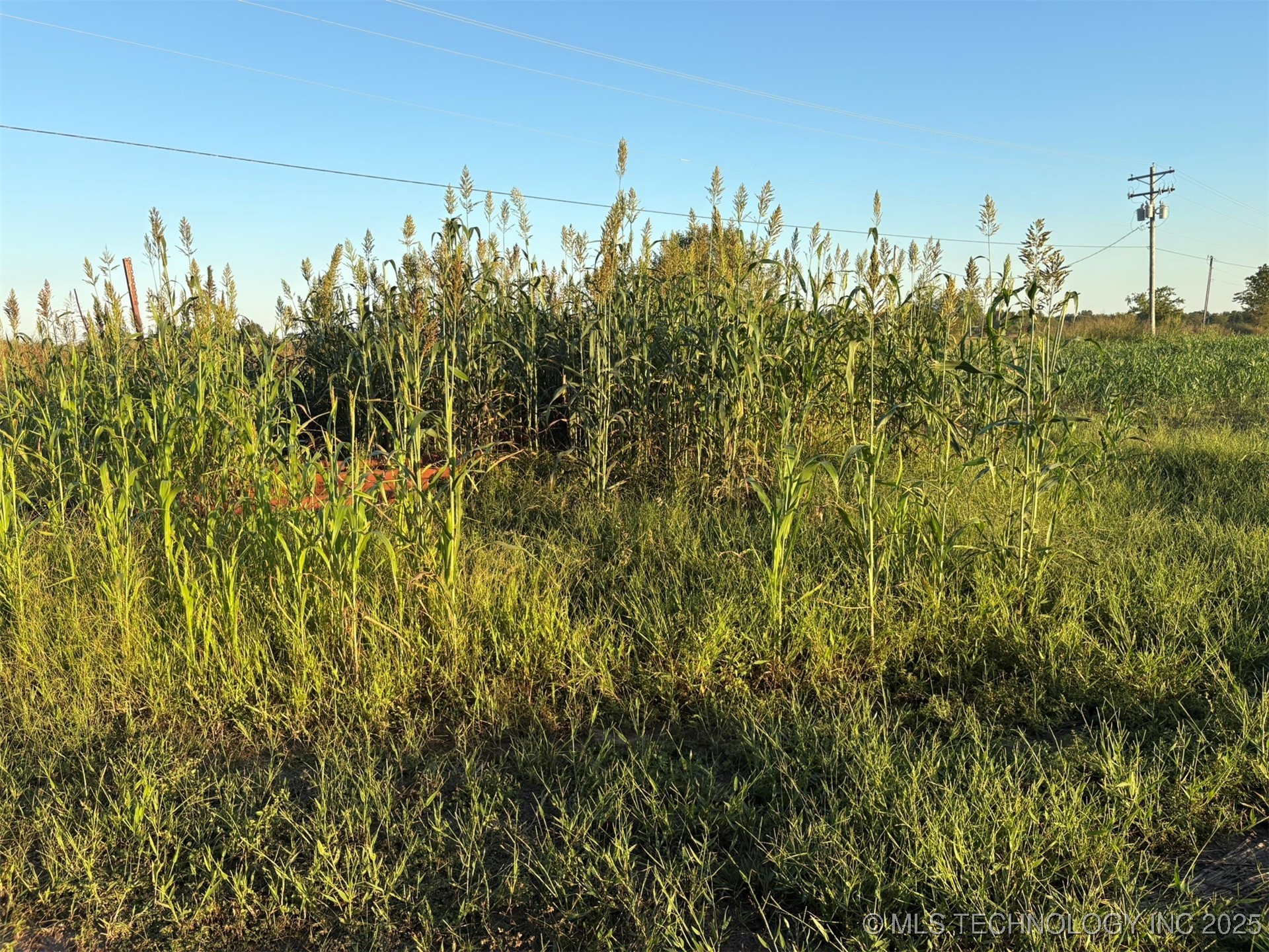 S 250 Road Property Photo 5