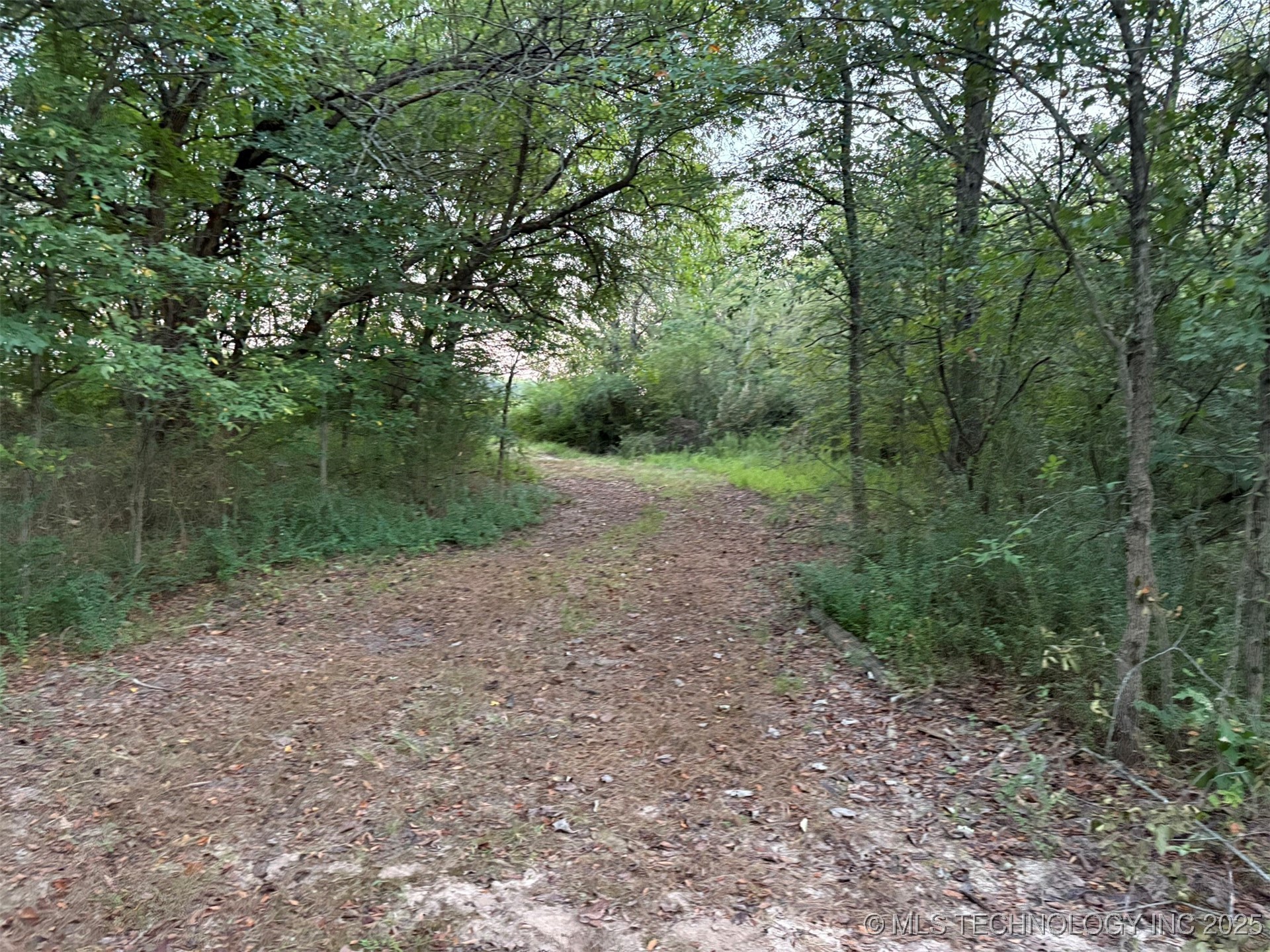 S 250 Road Property Photo 9