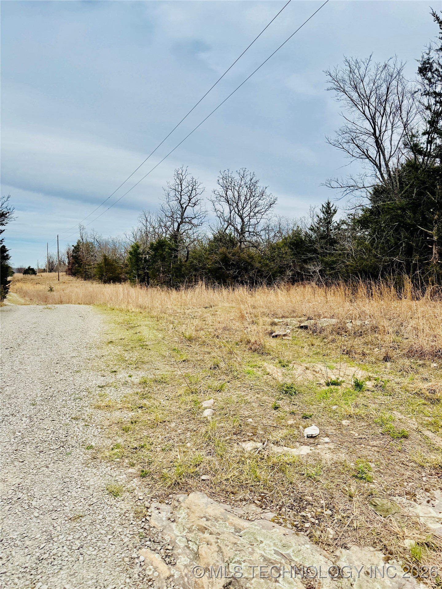 0 Dozer Mountain Property Photo 3