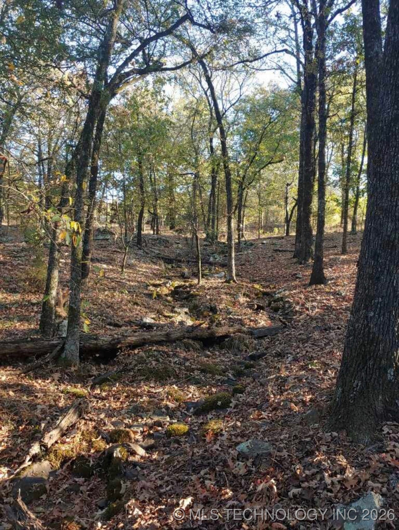 000 N 4483 Road Property Photo 13