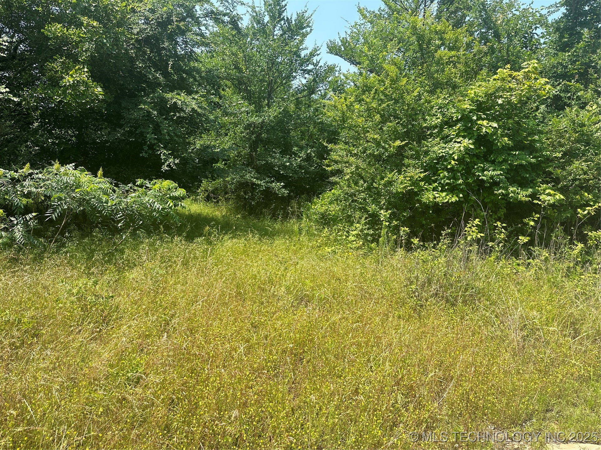 Quapaw Property Photo 7