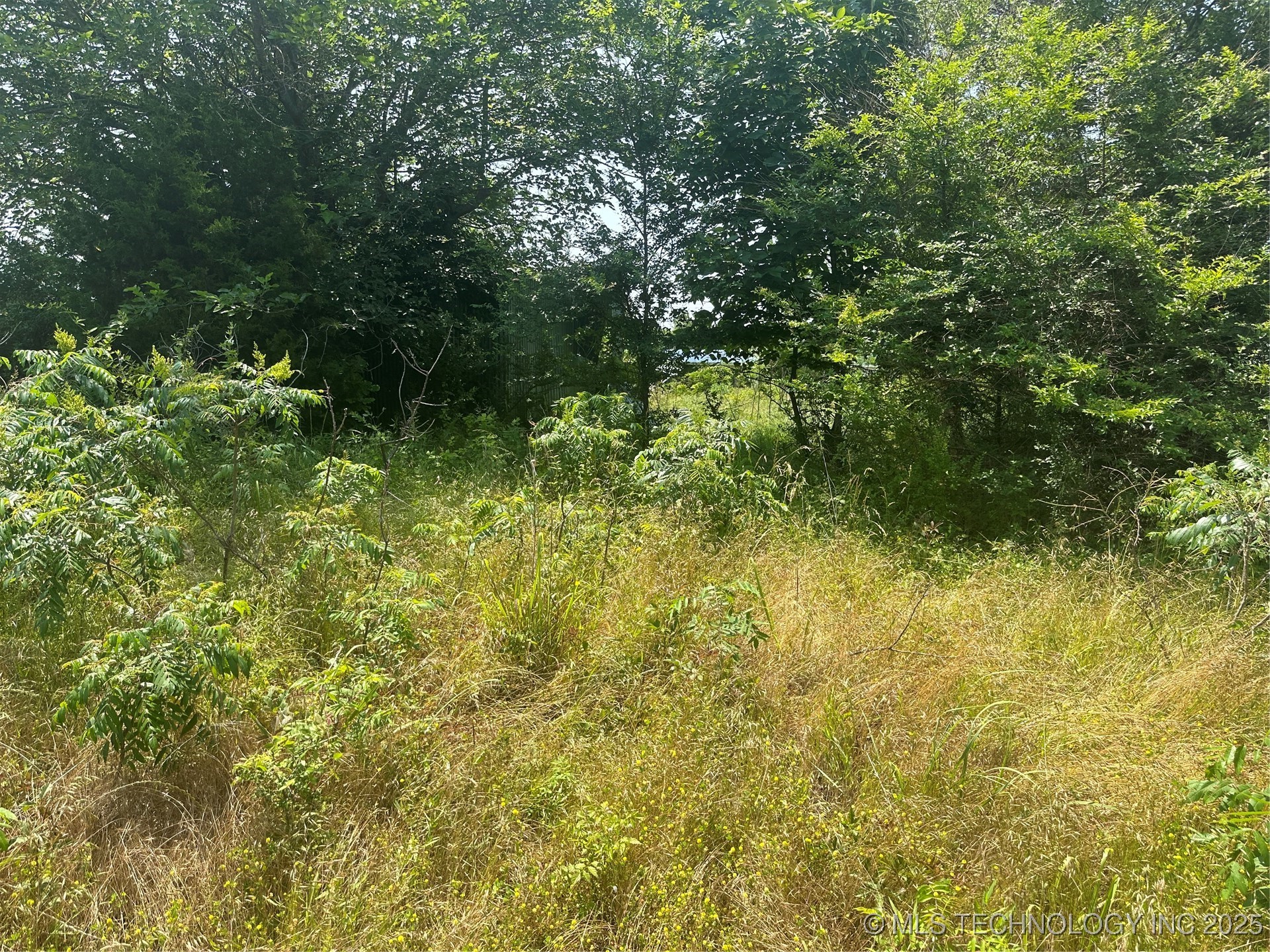 Quapaw Property Photo 12