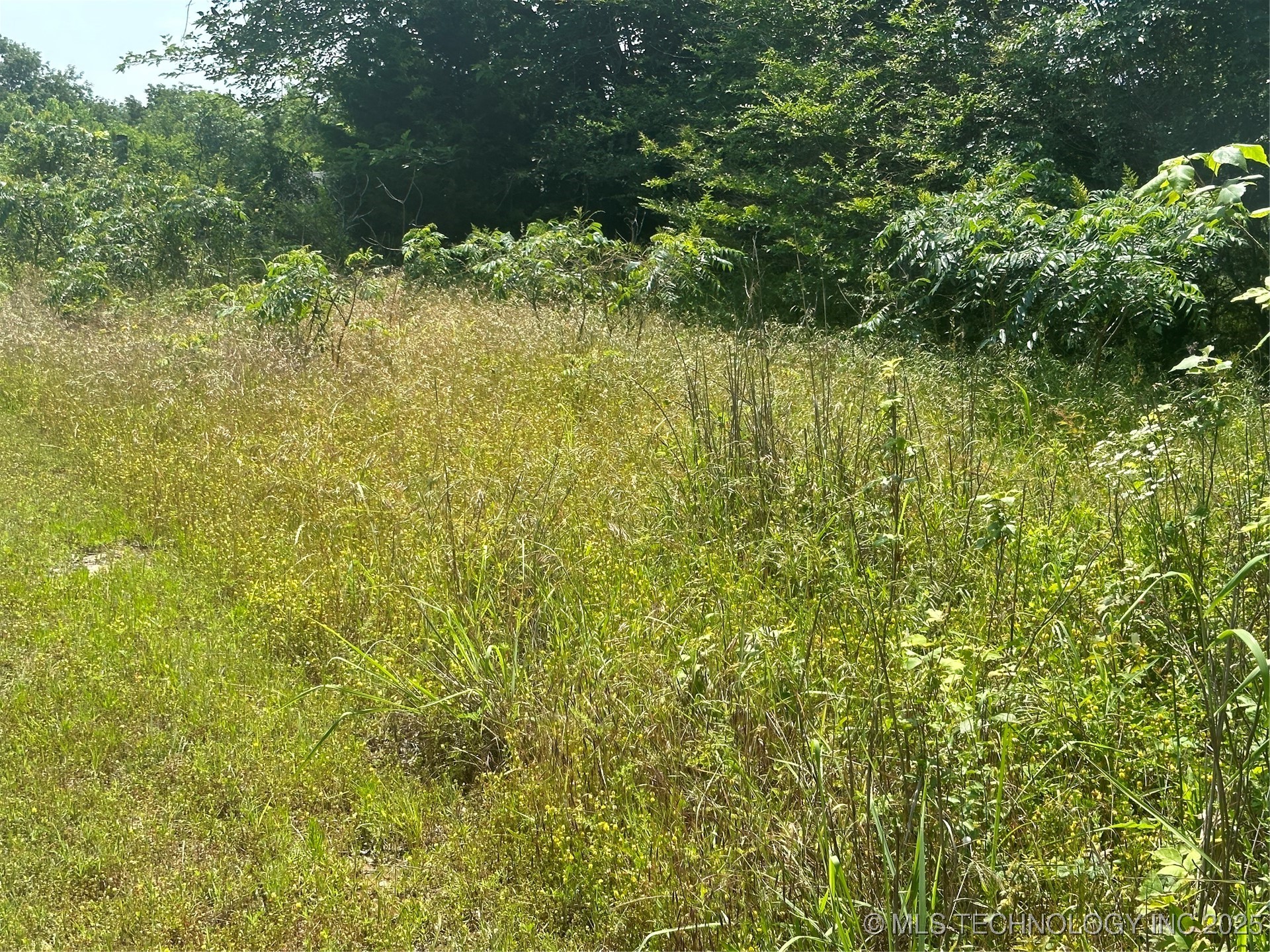 Quapaw Property Photo 13