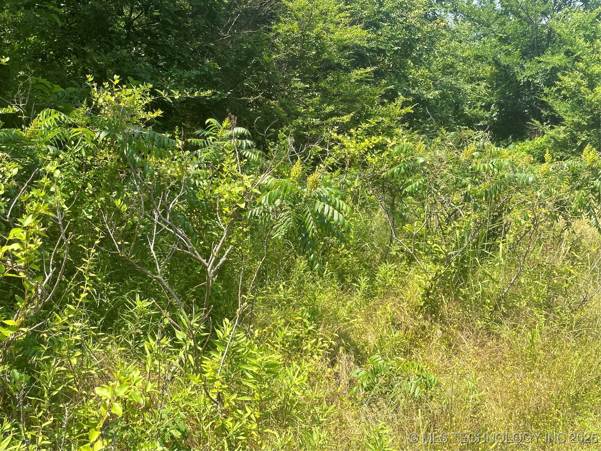 Quapaw Property Photo 22