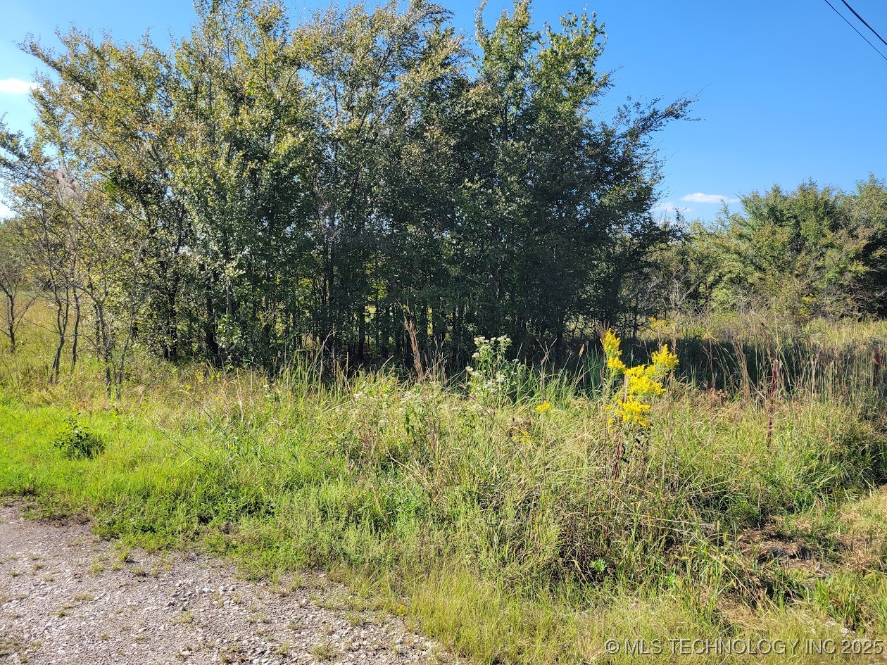 112580 New Texanna Property Photo 5