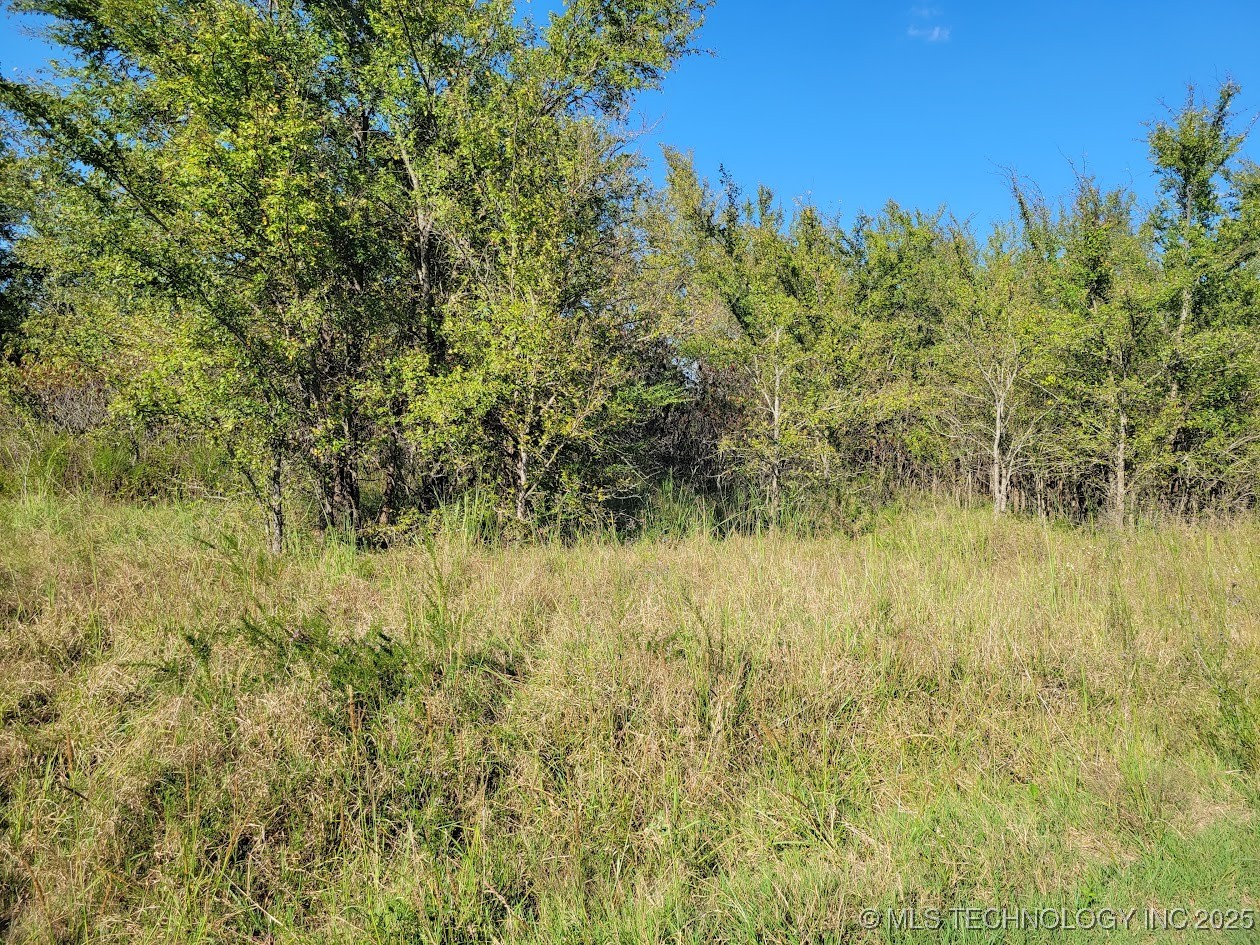 112580 New Texanna Property Photo 11
