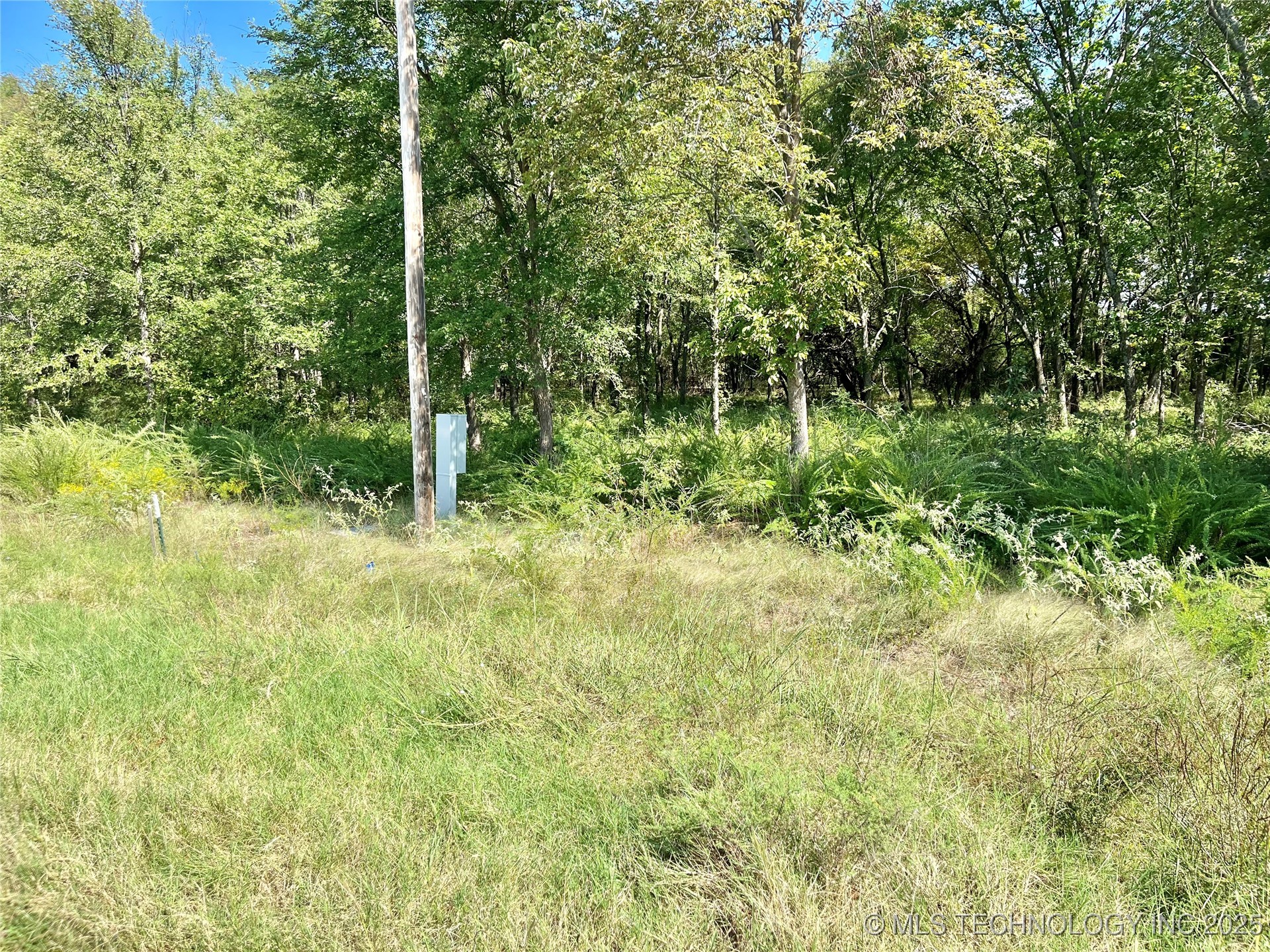 6773 Bobbie Little Drive Property Photo 3