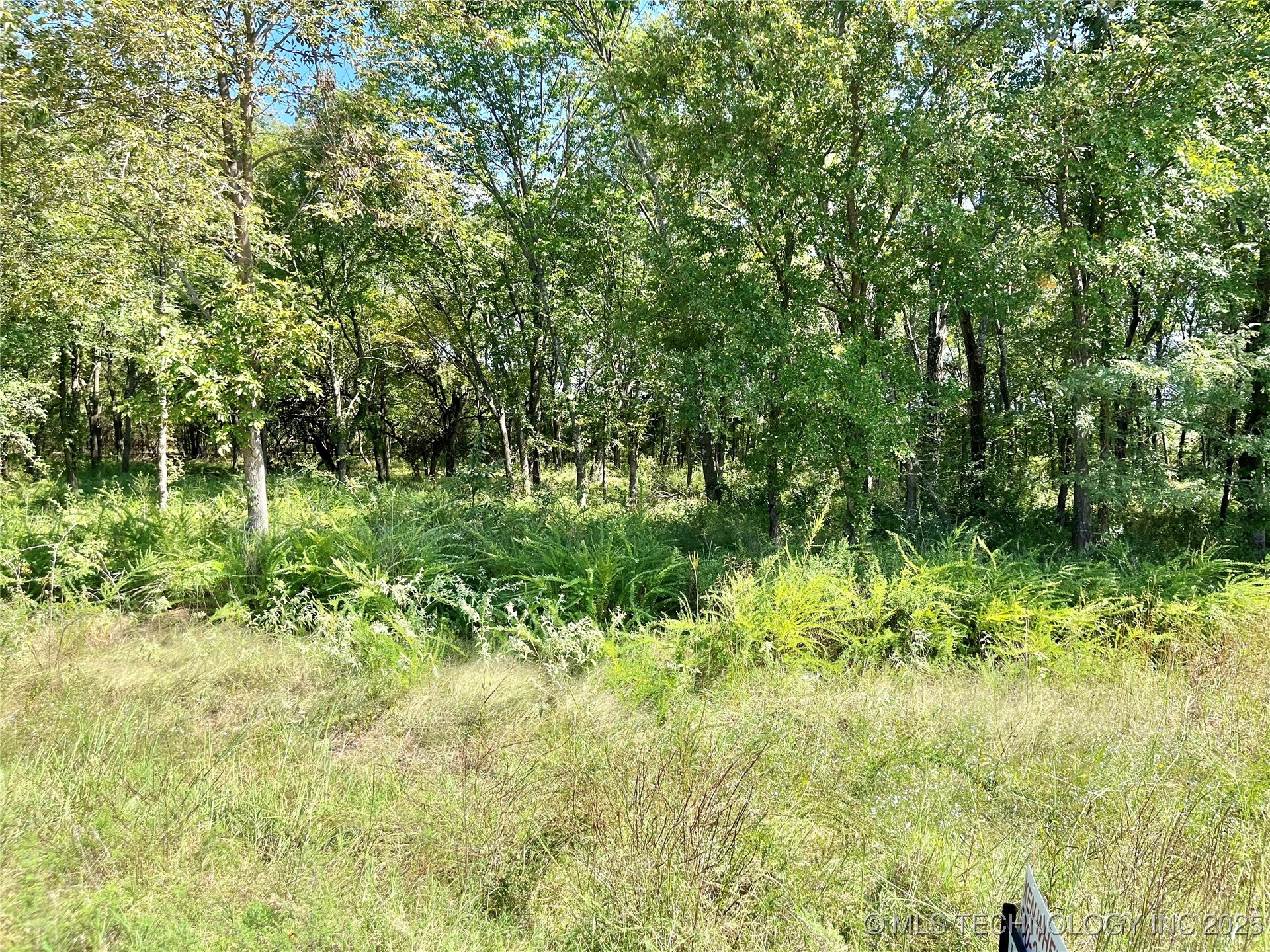 6773 Bobbie Little Drive Property Photo 4