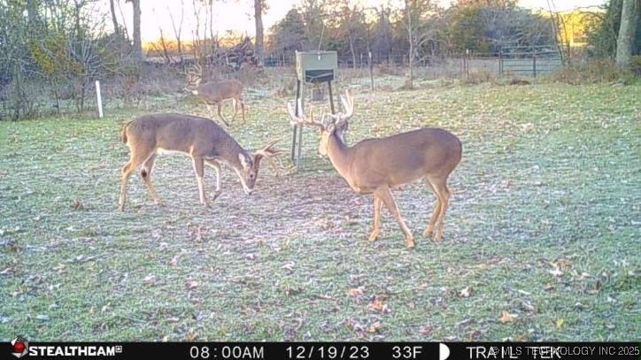 Harbert Drive Property Photo 3