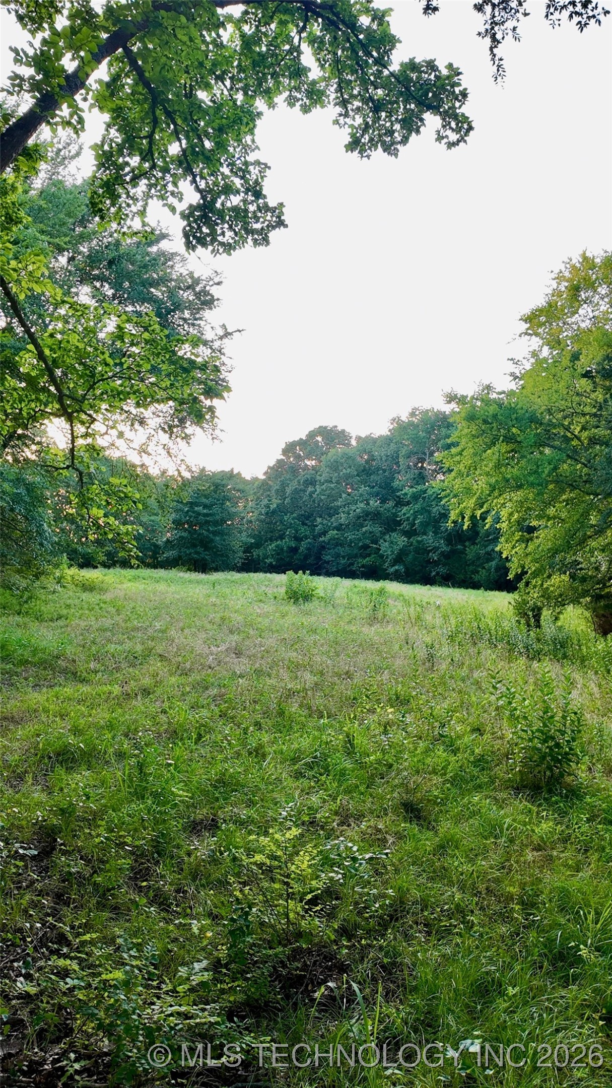 Harbert Drive Property Photo 6