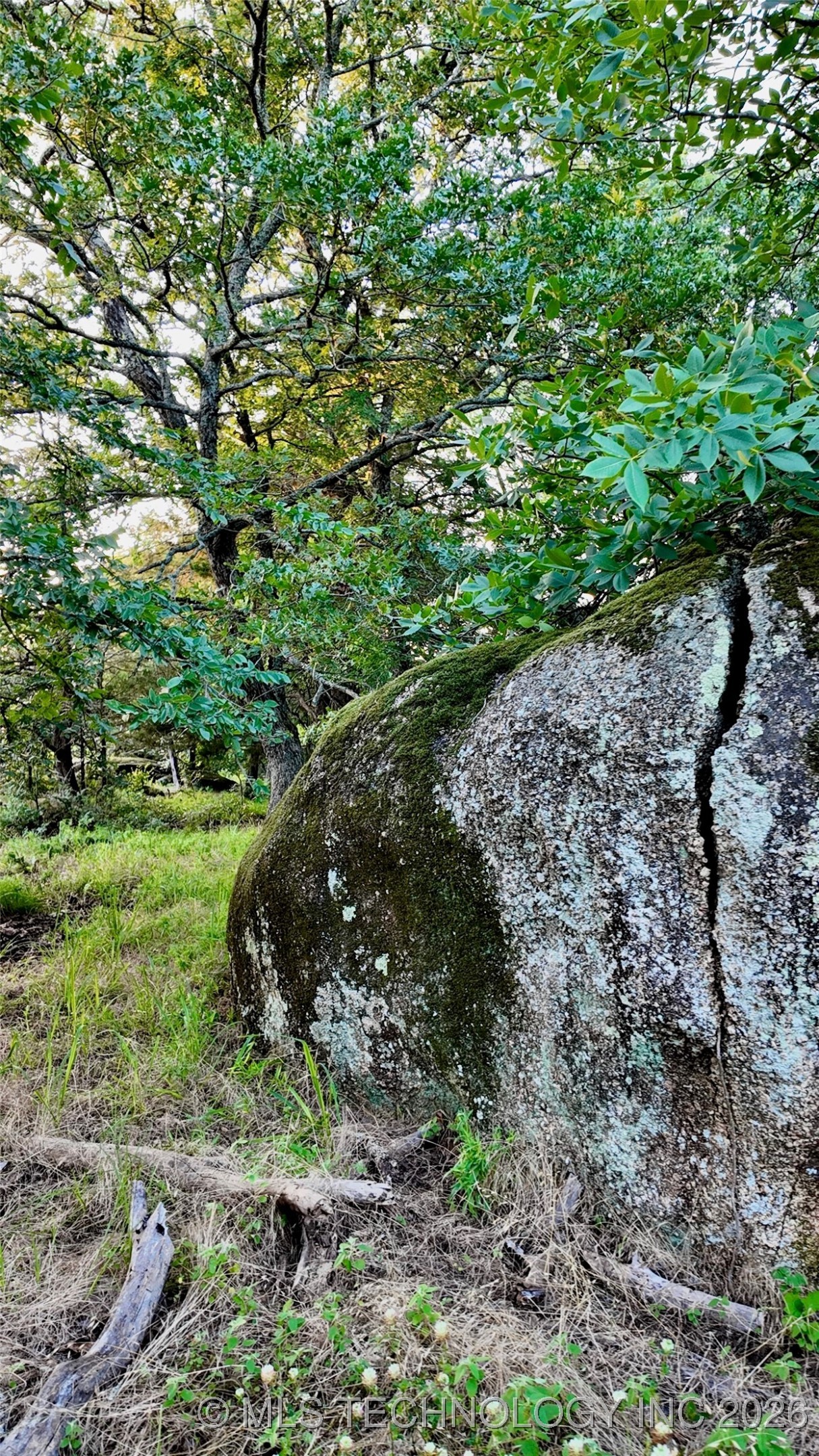 Harbert Drive Property Photo 7