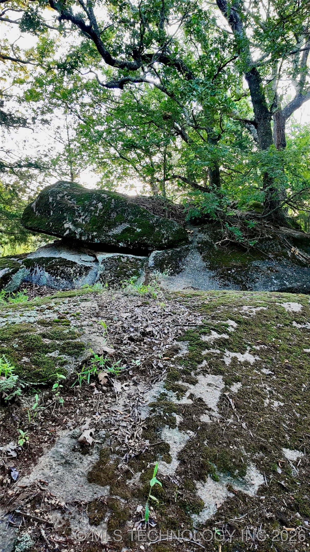 Harbert Drive Property Photo 17