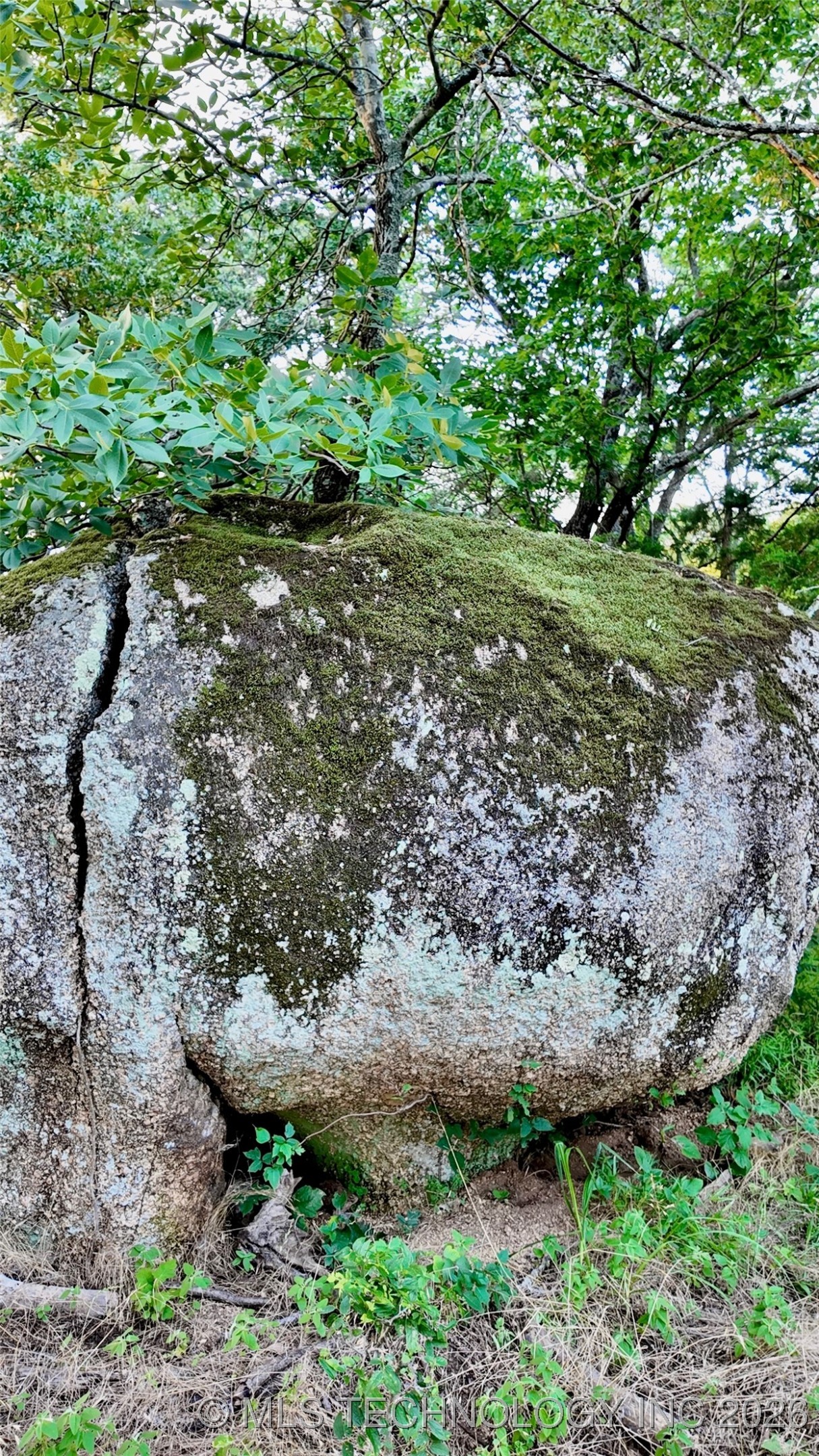 Harbert Drive Property Photo 18