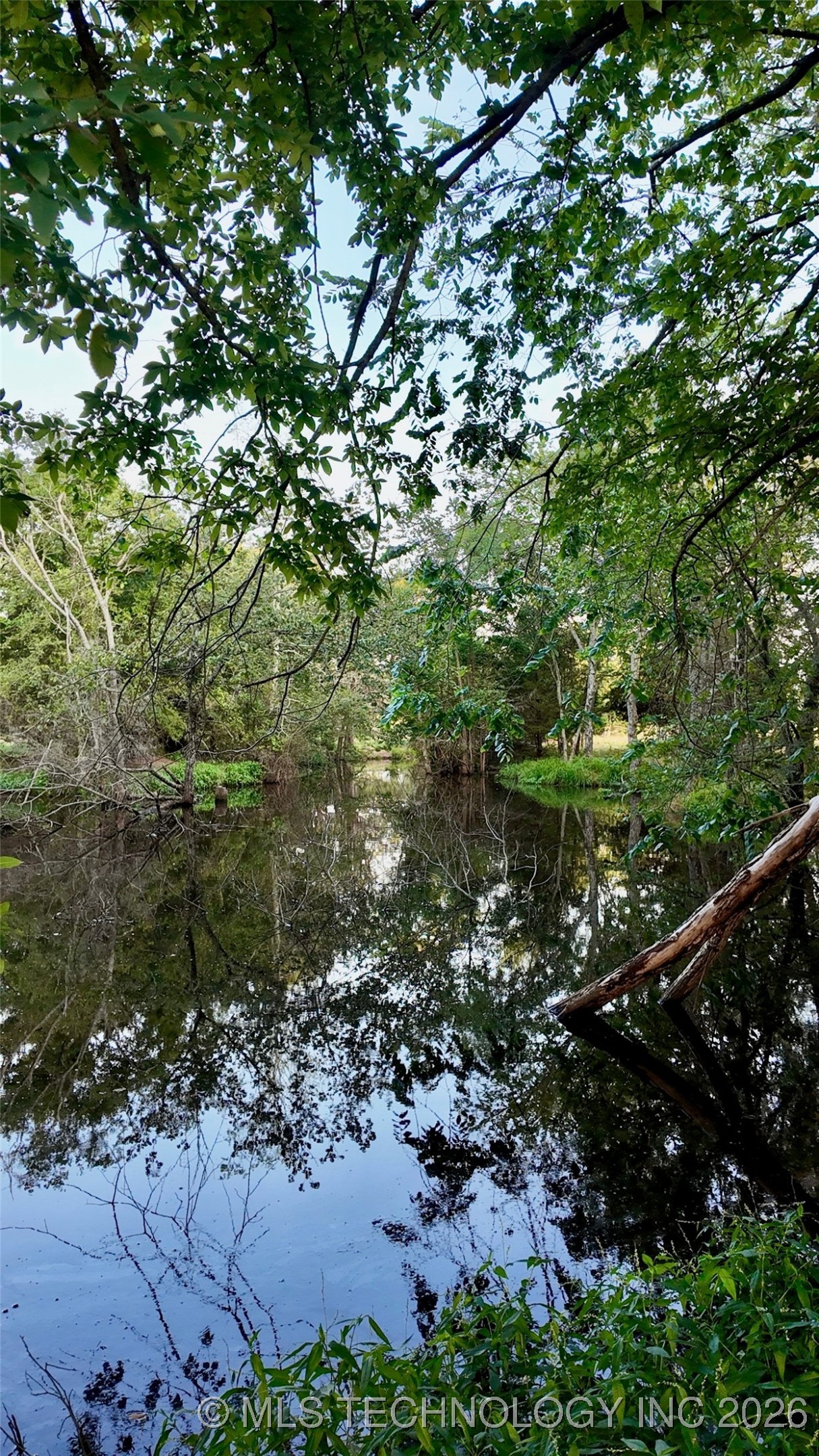 Harbert Drive Property Photo 19