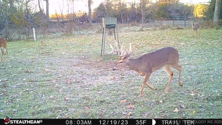 Harbert Drive Property Photo 20