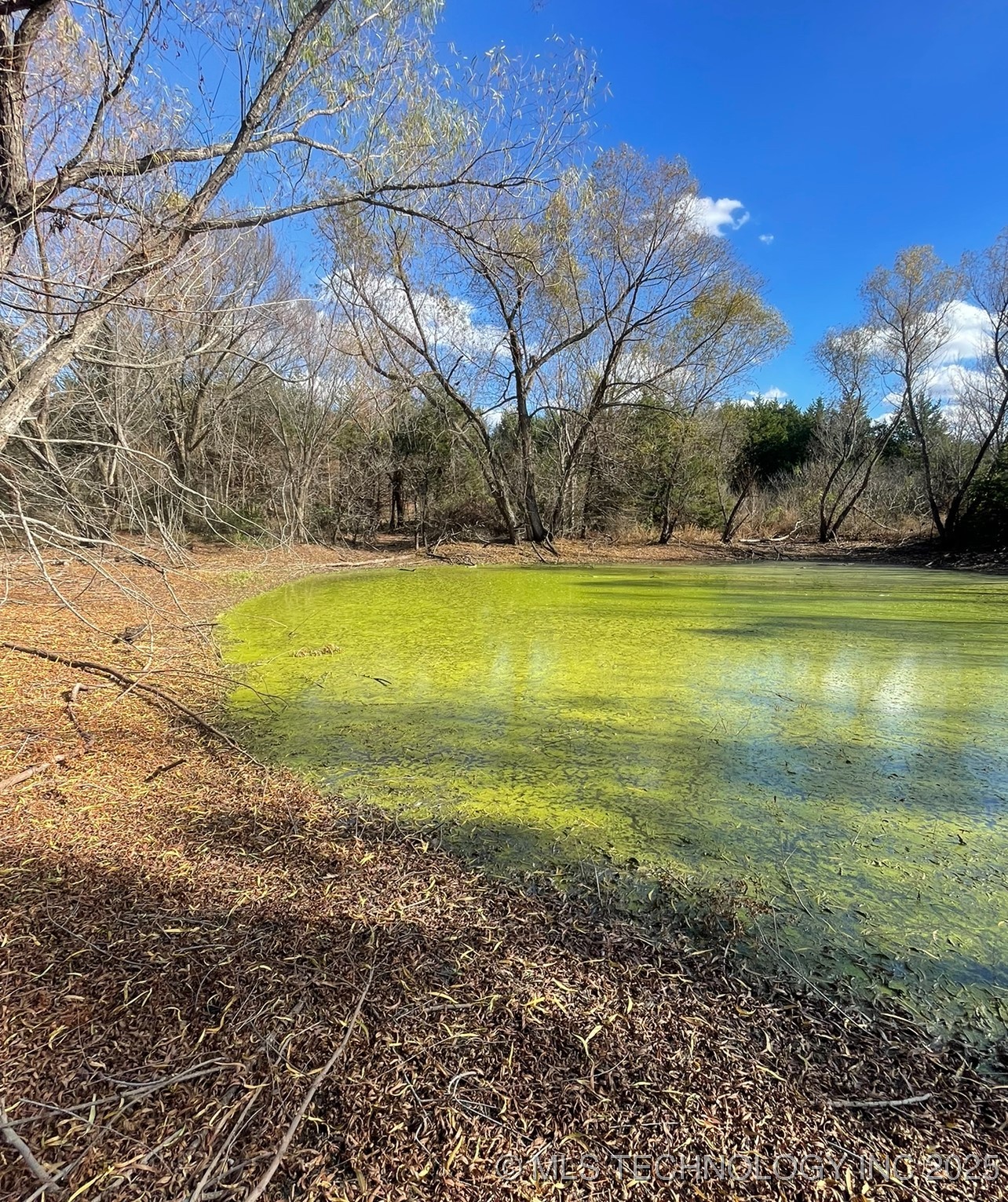 55762 S 36620 Road Property Photo 18