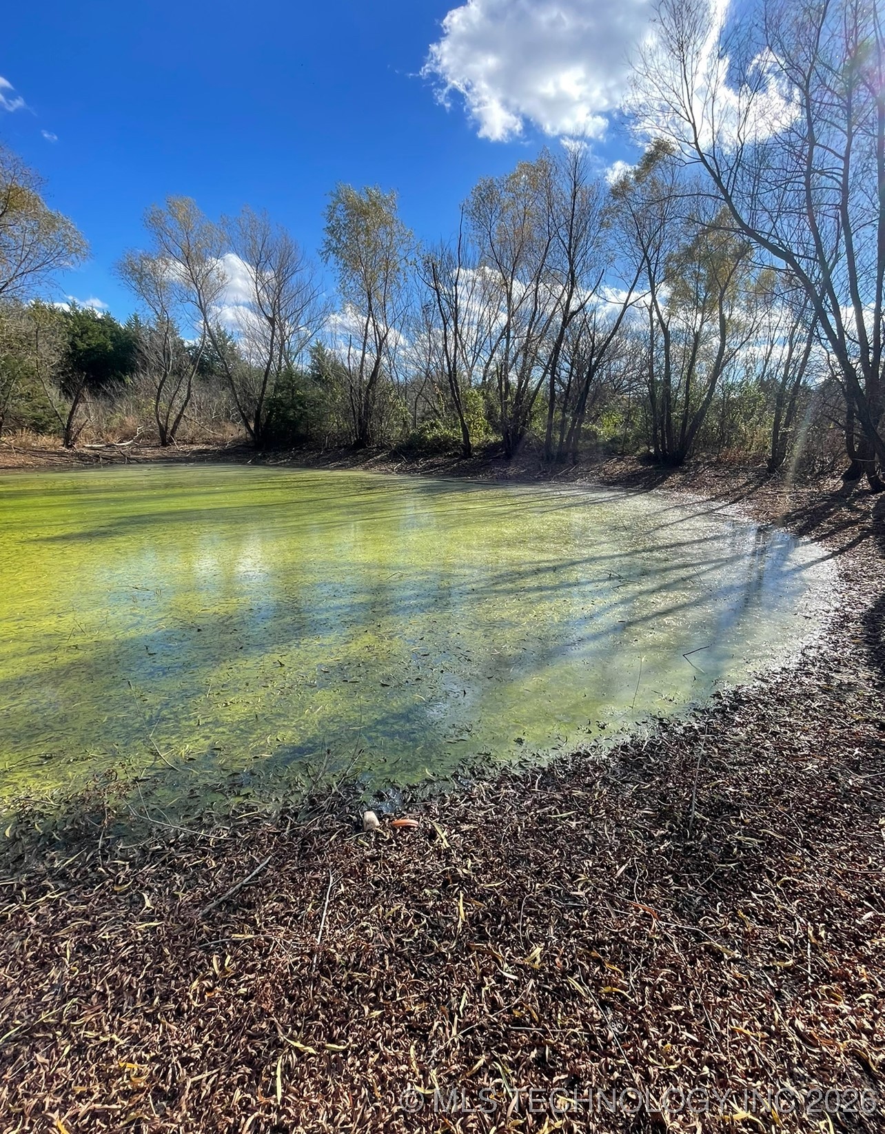 55762 S 36620 Road Property Photo 19