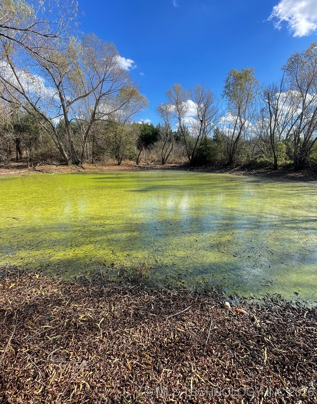 55762 S 36620 Road Property Photo 20