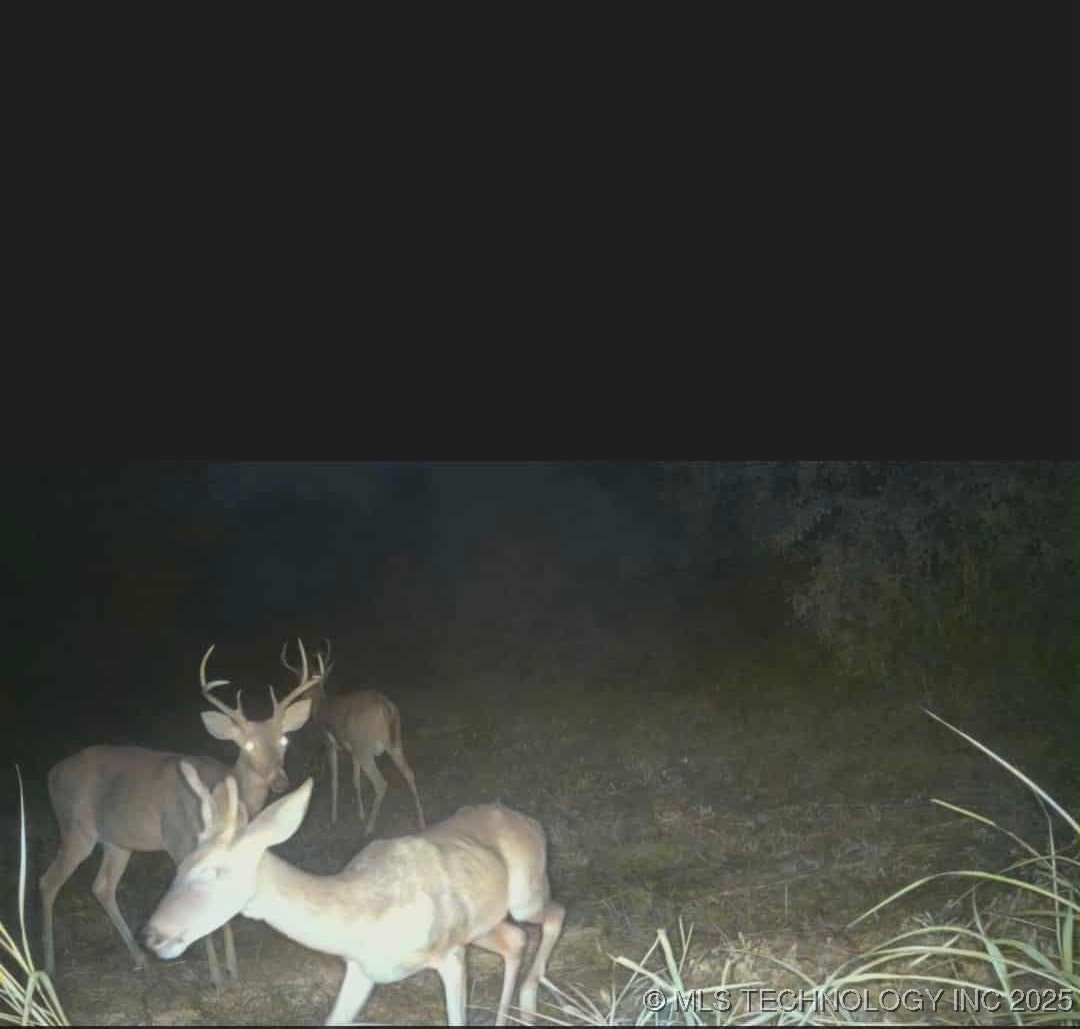 9839 N Peoria Avenue Property Photo 11