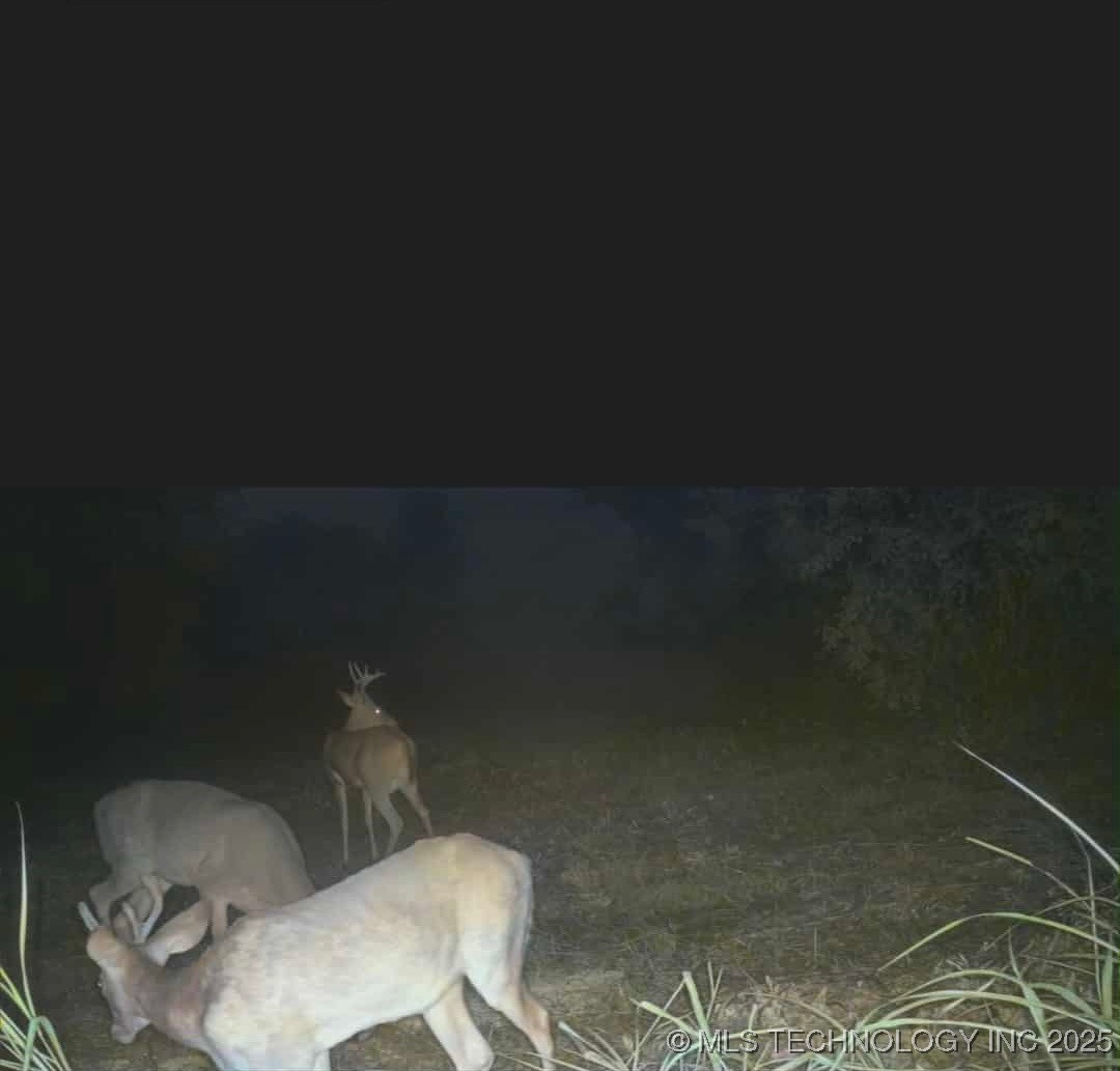 9839 N Peoria Avenue Property Photo 12