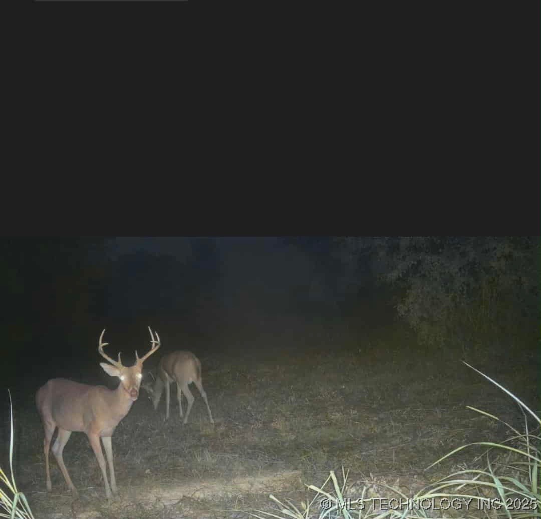 9839 N Peoria Avenue Property Photo 13