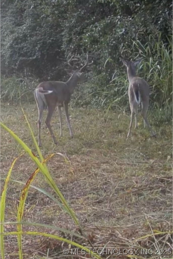 9839 N Peoria Avenue Property Photo 14