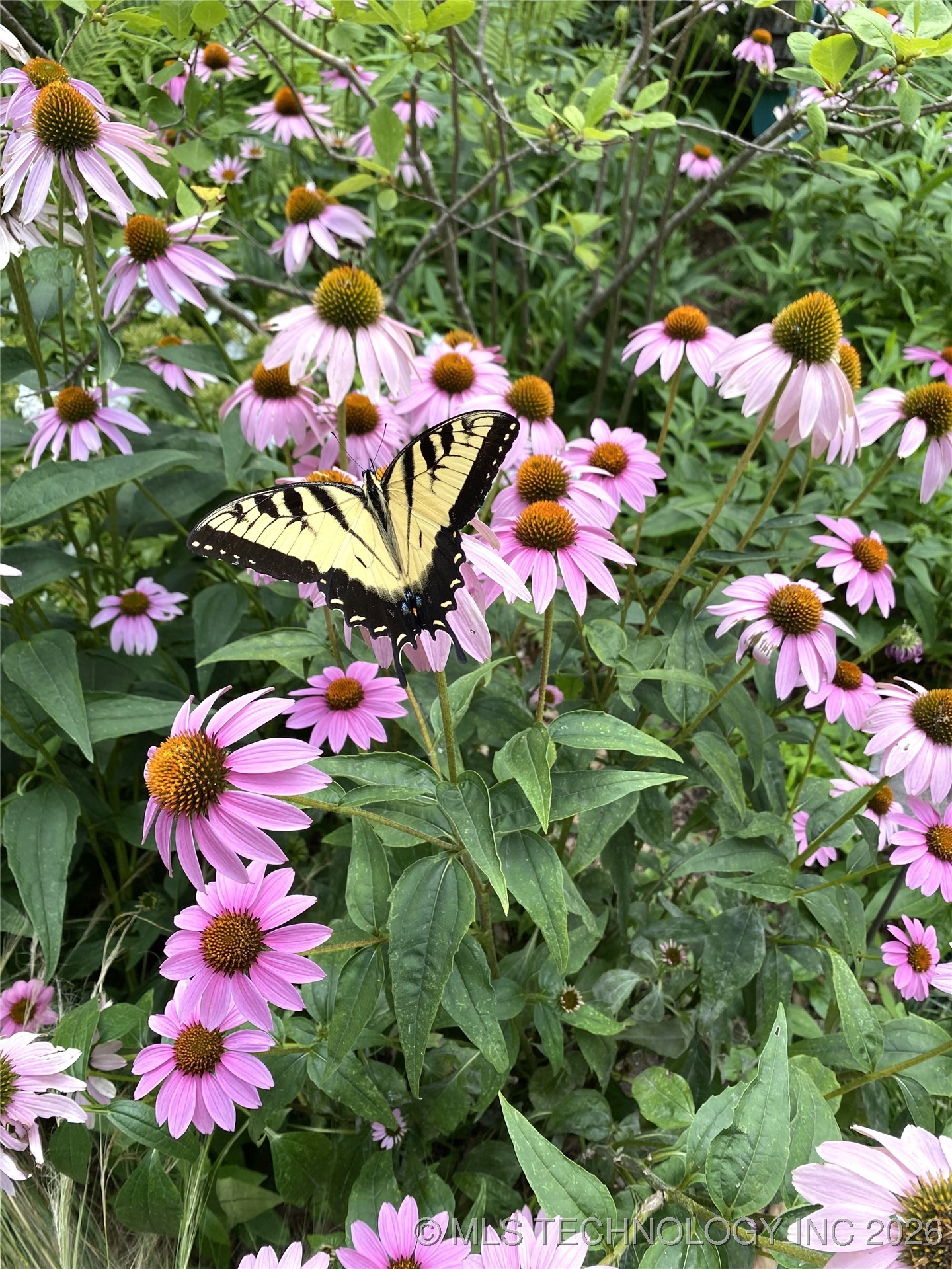 5220 E 88th Street Property Photo 32