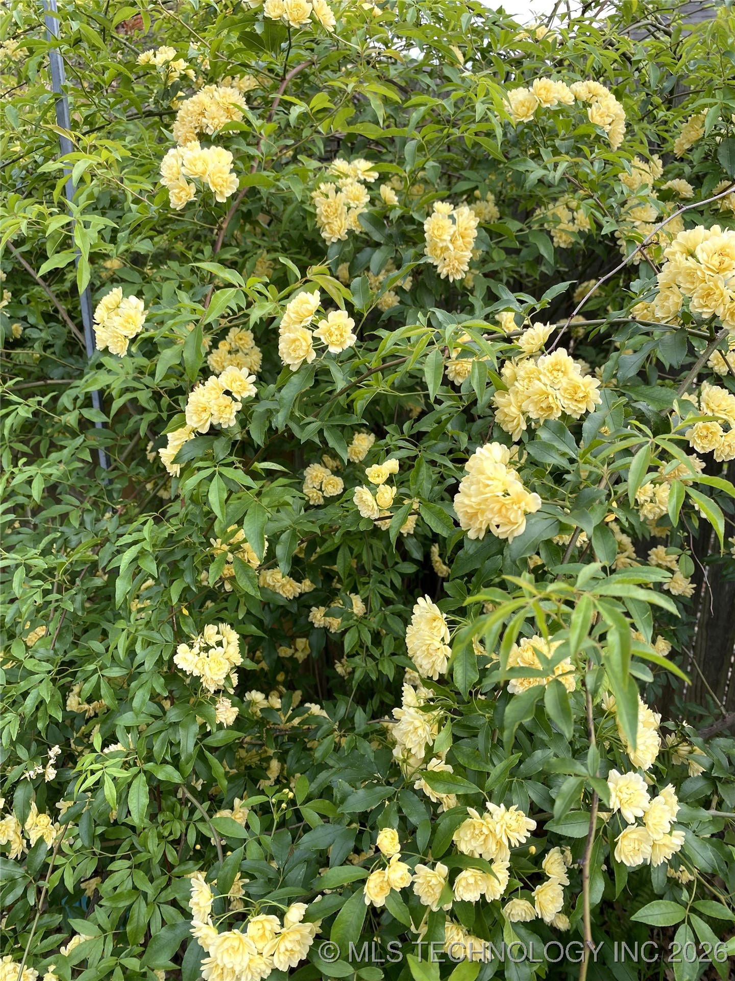 5220 E 88th Street Property Photo 33