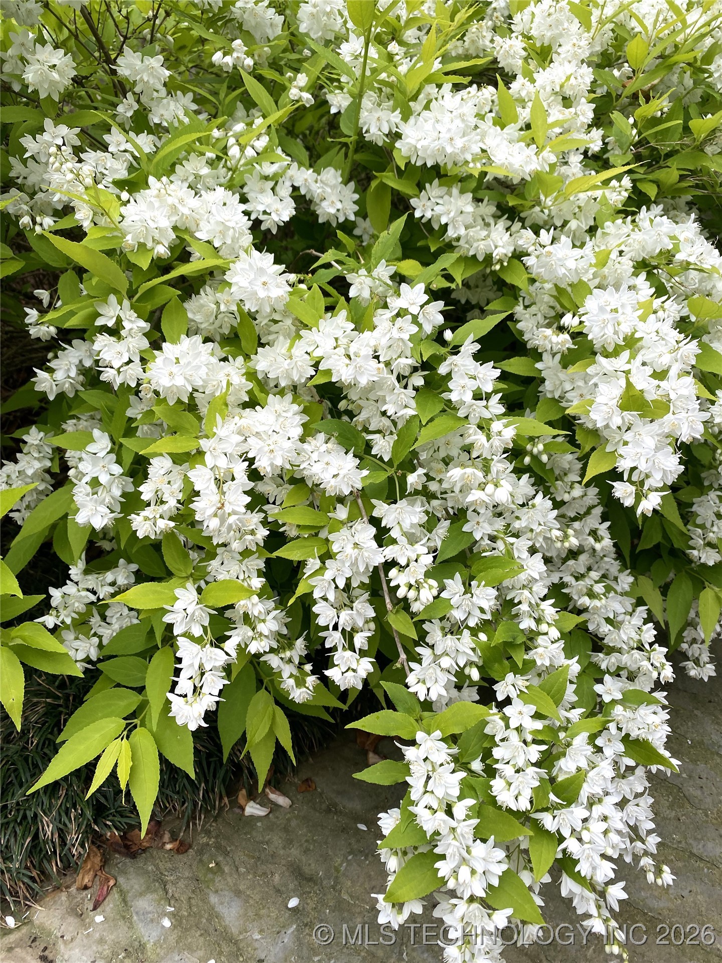 5220 E 88th Street Property Photo 34