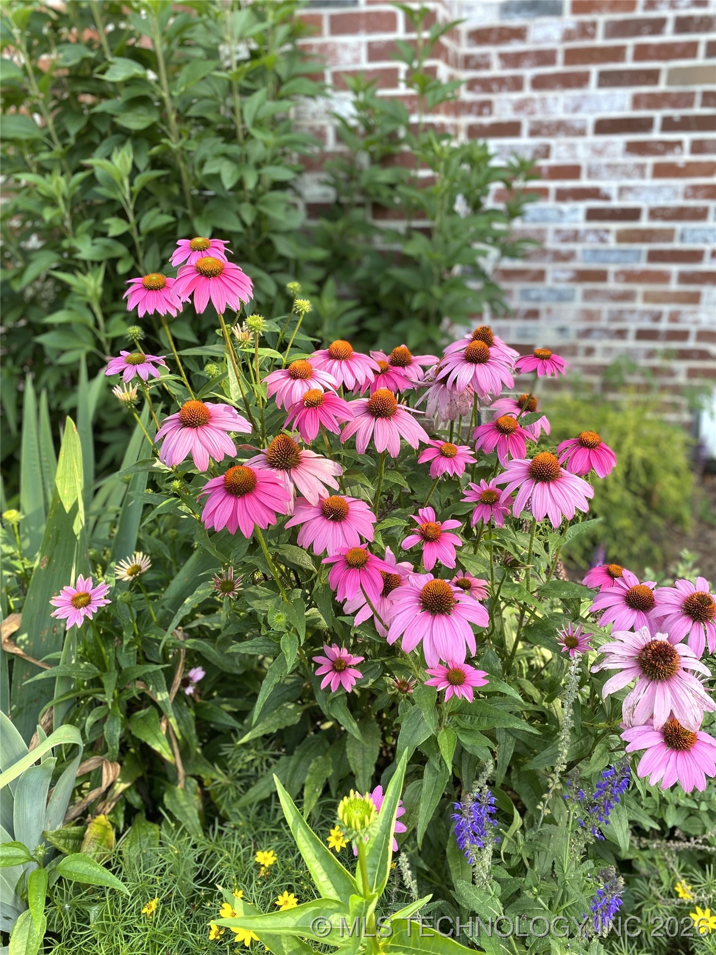 5220 E 88th Street Property Photo 35