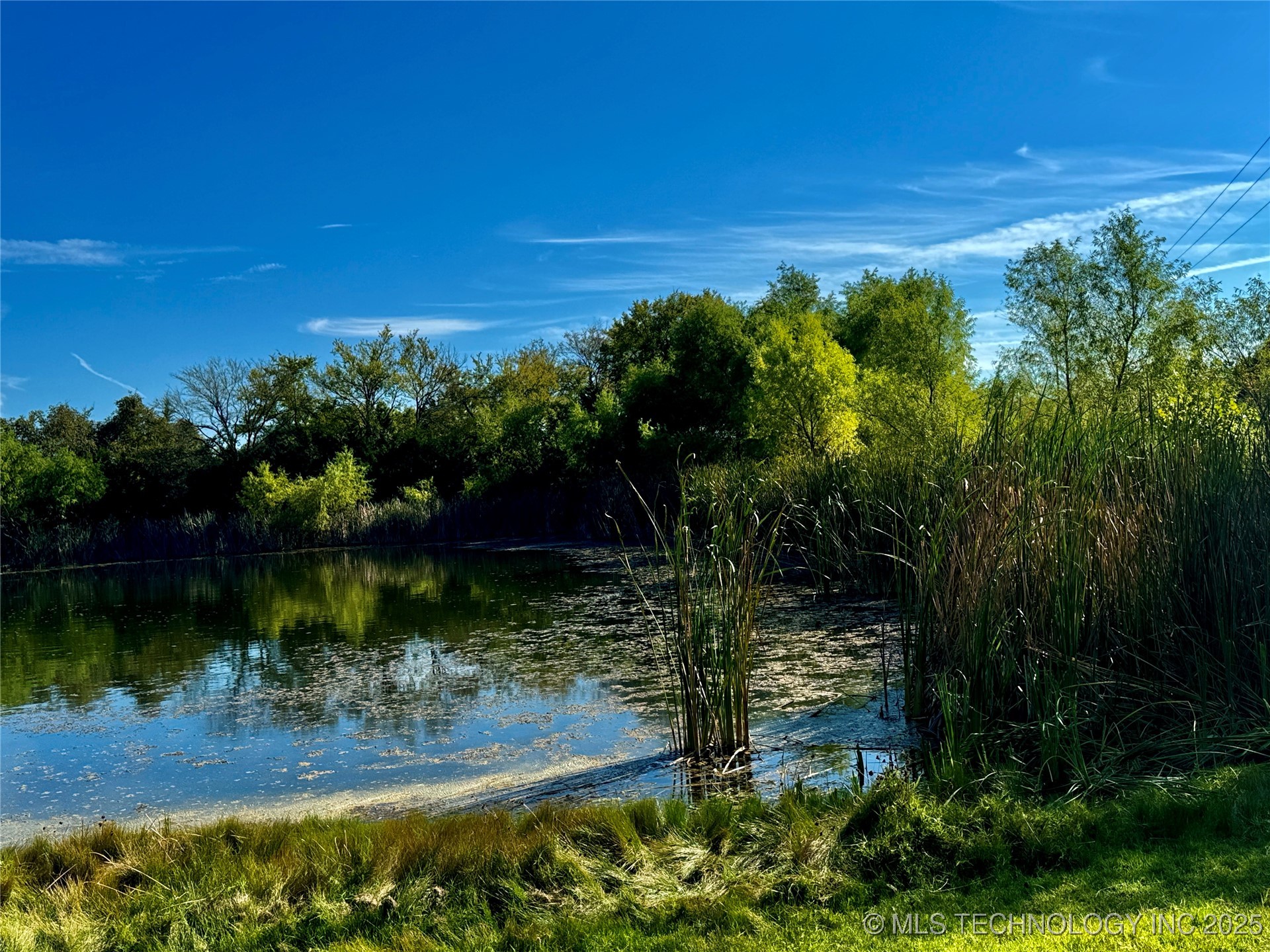 9981 Addington Bend Road Property Photo 8