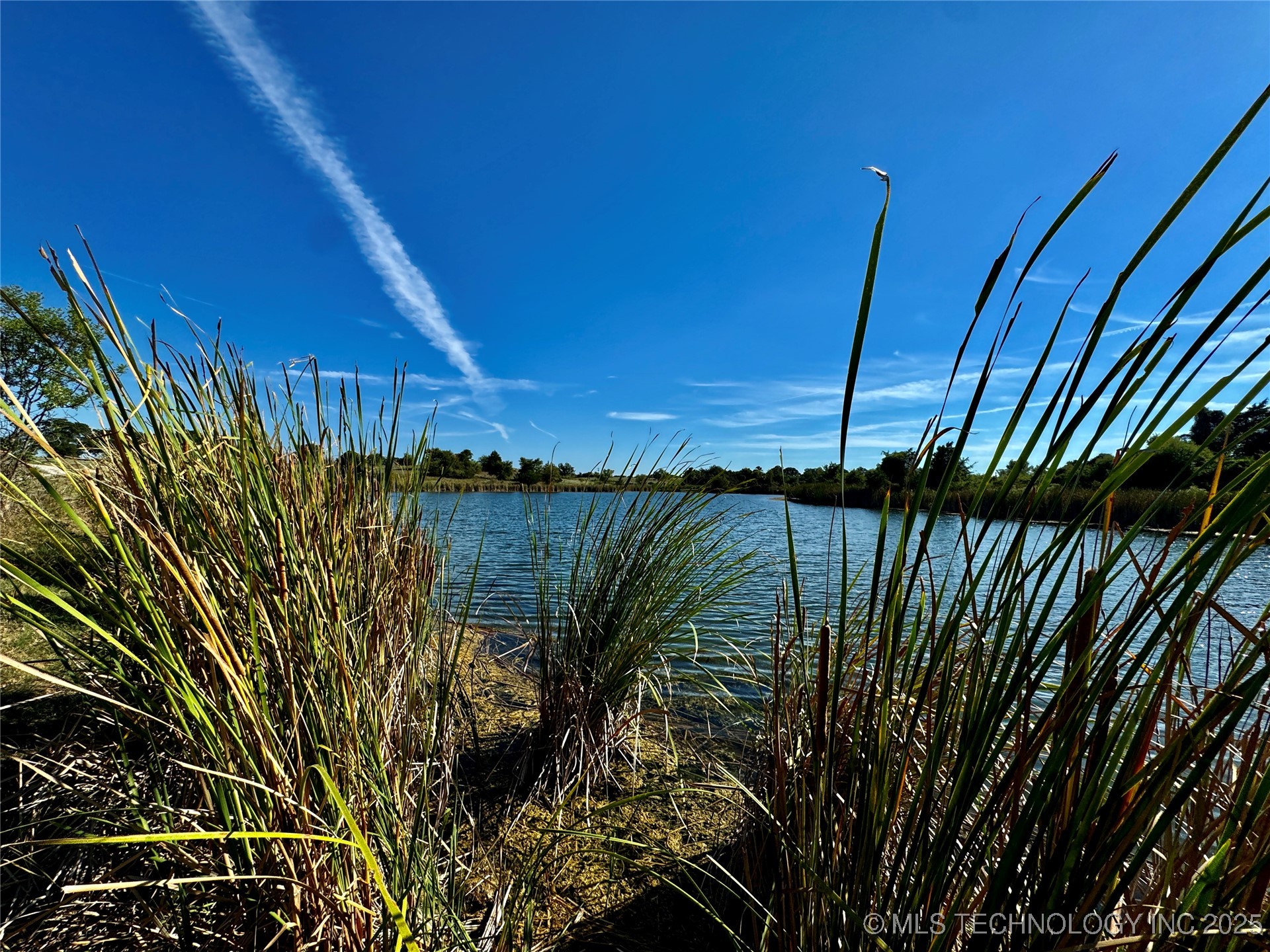 9981 Addington Bend Road Property Photo 14