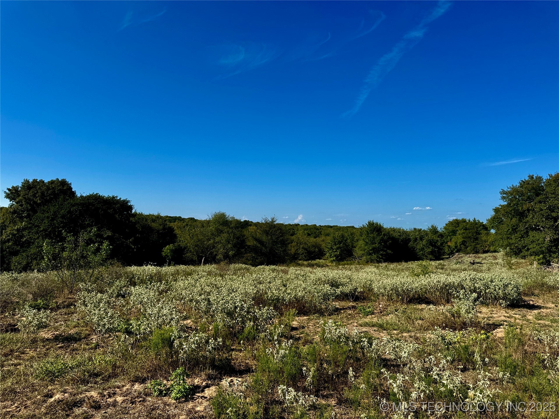 9981 Addington Bend Road Property Photo 16