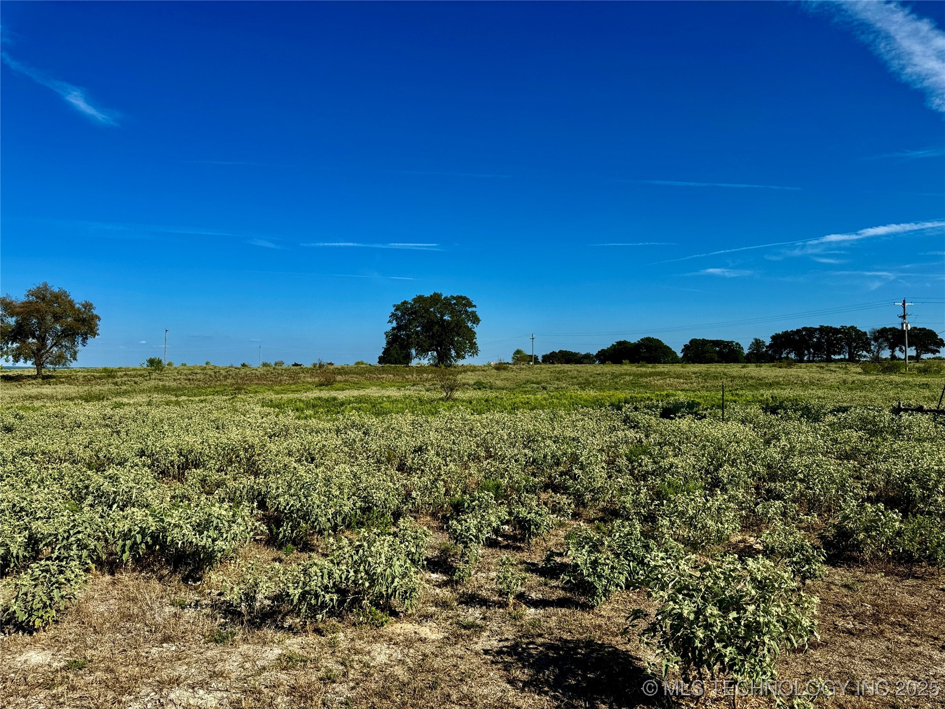 9981 Addington Bend Road Property Photo 18